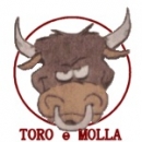 Toro e Molla